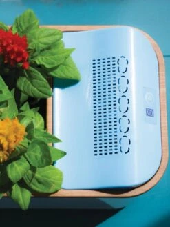 Dewplanter 9 Dewplanter -Garden Supply Store 8609512 Dewplanter