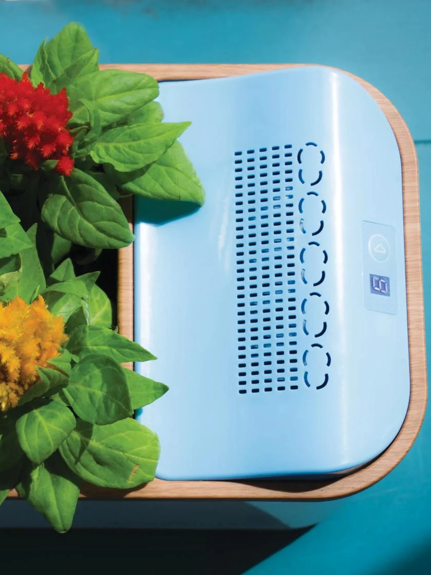 Dewplanter 5 Dewplanter - Image 3