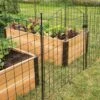 6 Panel Critter Fence With Gate -Garden Supply Store 8609844 8458 6 panel critter fence with gate 3 4