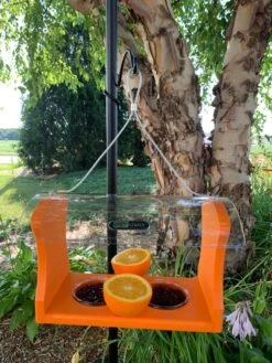 Birds Choiceâ„¢ Oriole Feeder