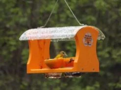 Birds Choice™ Oriole Feeder 7 Birds Choice™ Oriole Feeder -Garden Supply Store 8610152 02V tif
