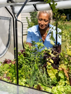 VegTrug®Patio Garden Greenhouse Cover Kit 13 VegTrug®Patio Garden Greenhouse Cover Kit -Garden Supply Store 8610172 1256