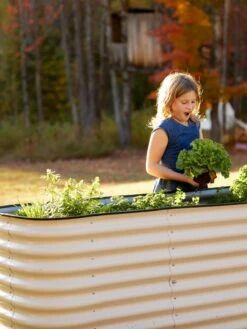 Birdies™ Modular Metal Raised Bed, Tall 12 Birdies™ Modular Metal Raised Bed, Tall -Garden Supply Store 8610174 5015 tif