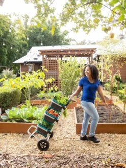 Mod Hod Trolley With Teal Mod Hods 9 Mod Hod Trolley With Teal Mod Hods -Garden Supply Store 8610240 0070 tif