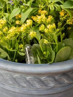 Adjustable Self-Watering Insert For Pots And Planters -Garden Supply Store 8610250 0010 tif