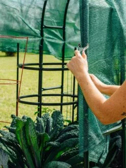 Maxi Garden Hoops With Clips -Garden Supply Store 8610372 368 tif