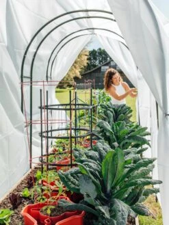 Maxi Garden Hoops With Clips -Garden Supply Store 8610373 377 tif