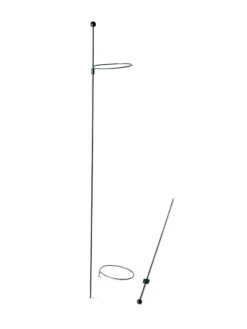 Peacock Mini Plant Support Rings 4", Set Of 2 14 Peacock Mini Plant Support Rings 4", Set Of 2 -Garden Supply Store 8610386 9566