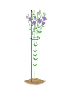 Peacock Mini Plant Support Rings 4", Set Of 2 12 Peacock Mini Plant Support Rings 4", Set Of 2 -Garden Supply Store 8610386 peacock4x36