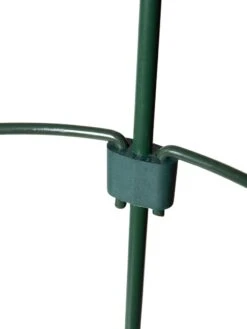 Peacock Mini Plant Support Rings 4", Set Of 2 17 Peacock Mini Plant Support Rings 4", Set Of 2 -Garden Supply Store 8610387 9577