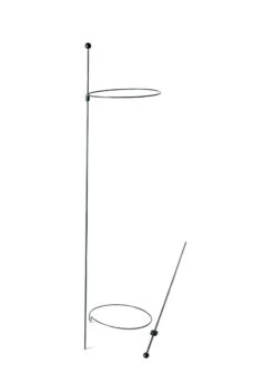 Peacock Mini Plant Support Rings 8", Set Of 2 15 Peacock Mini Plant Support Rings 8", Set Of 2 -Garden Supply Store 8610388 9565 tif