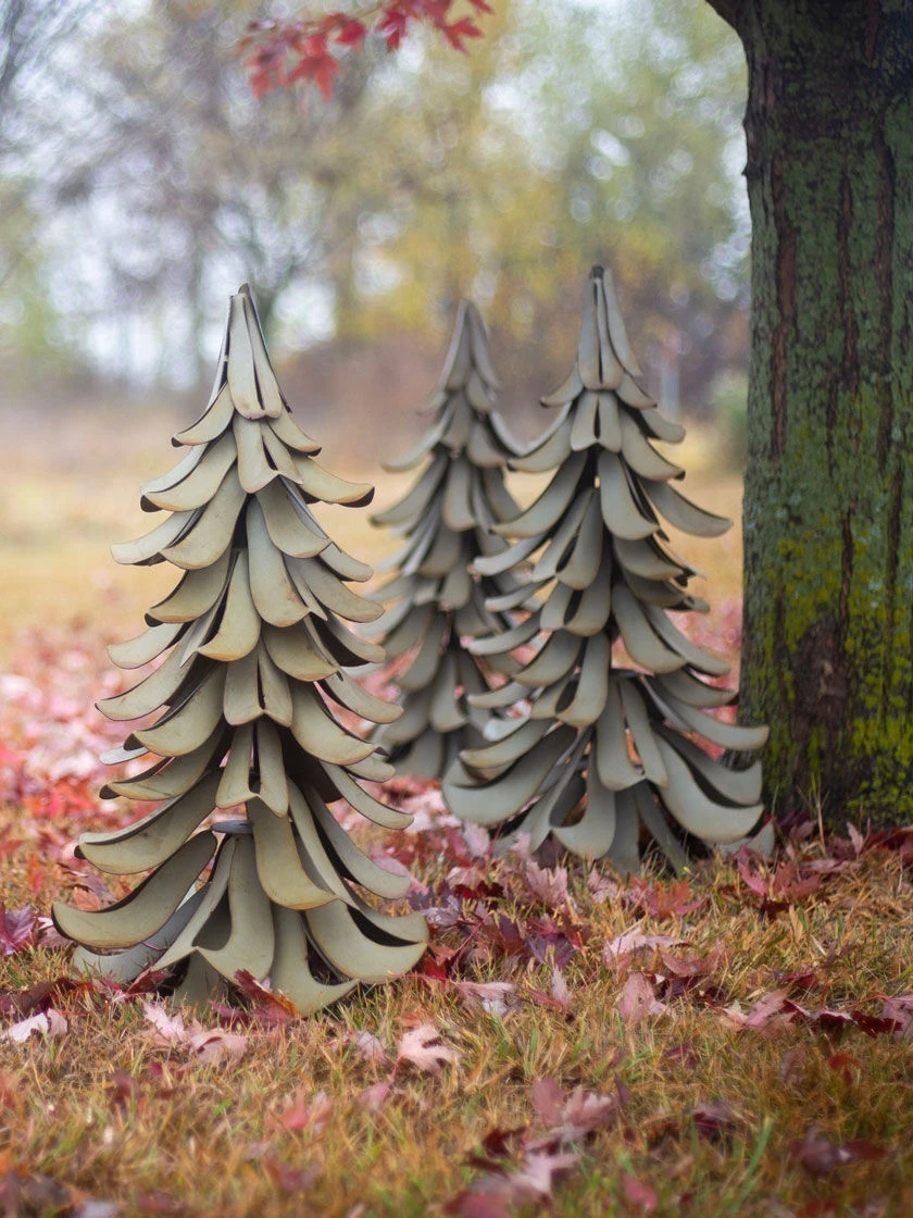 Desert Steel Blue Atlas Cedar 6 Desert Steel Blue Atlas Cedar - Image 4