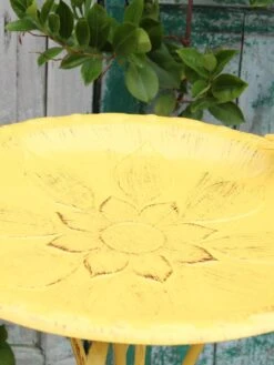 Vintage Floral Birdbath -Garden Supply Store 8610559 02V JPG