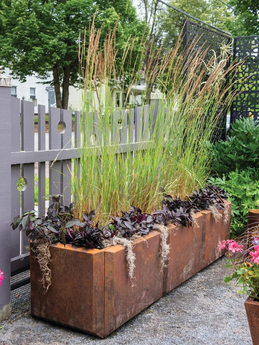 Corten Steel Modular Raised Bed, 2'x6' 4 Corten Steel Modular Raised Bed, 2'x6' - Image 2