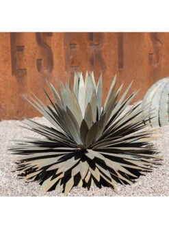 Desert Steel Yucca Plant Sculpture 9 Desert Steel Yucca Plant Sculpture -Garden Supply Store 8610744 02v