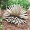 Desert Steel Yucca Plant Sculpture 2 Desert Steel Yucca Plant Sculpture -Garden Supply Store 8610744 03v desert steel yucca plant