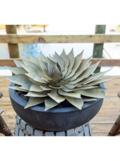 Desert Steel Spiral Aloe Sculpture -Garden Supply Store 8610750 02v