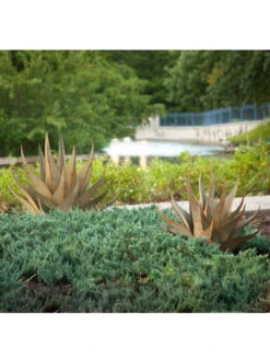 Desert Steel Sharkskin Agave Sculpture 11 Desert Steel Sharkskin Agave Sculpture -Garden Supply Store 8610753 05v