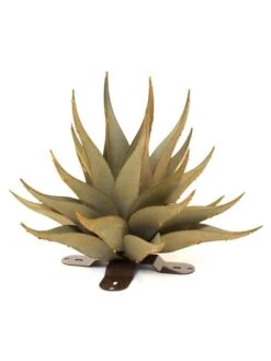 Desert Steel Sharkskin Agave Sculpture 12 Desert Steel Sharkskin Agave Sculpture -Garden Supply Store 8610754 01v desert steel sharkskin agave small
