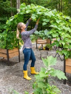 2’ X 8’ Arch Trellis For Planter Boxes 15 2’ X 8’ Arch Trellis For Planter Boxes -Garden Supply Store 8610798 050 tif