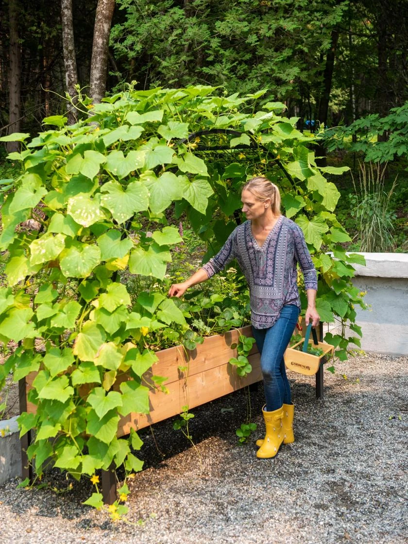 2’ X 8’ Arch Trellis For Planter Boxes 4 2’ X 8’ Arch Trellis For Planter Boxes - Image 2