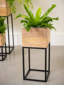 Tartu Elevated Square Planters 15 Tartu Elevated Square Planters -Garden Supply Store 8611005 035