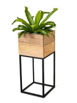 Tartu Elevated Square Planters 20 Tartu Elevated Square Planters -Garden Supply Store 8611005 036