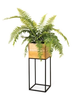 Tartu Elevated Square Planters 18 Tartu Elevated Square Planters -Garden Supply Store 8611006 033
