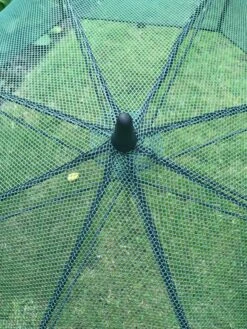 GardenSkill Pop N Crop Plant Umbrella -Garden Supply Store 8611105 07V tif