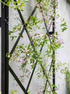 Lattice Gable Wall Trellis -Garden Supply Store 8611130 011