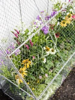 Chicken Wire Flat Back Crop Coop -Garden Supply Store 8611701 153 tif
