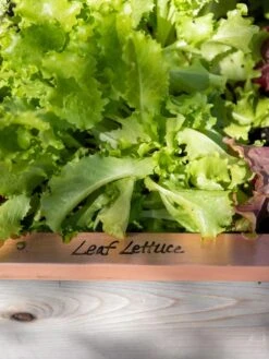 Re-Markable Raised Bed Trim 12 Re-Markable Raised Bed Trim -Garden Supply Store 8611757 326 tif