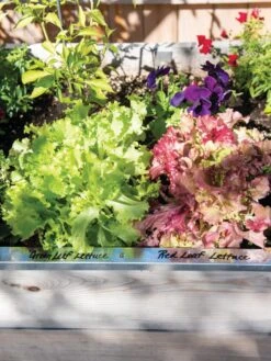 Re-Markable Raised Bed Trim 13 Re-Markable Raised Bed Trim -Garden Supply Store 8611758 306 tif