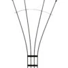 Achla Fan Trellis, 56" -Garden Supply Store 8611788 01v achla fan trellis 56 inch graphite powder coated wrought iron