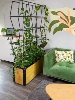 Self-Watering Partition Planter 10 Self-Watering Partition Planter -Garden Supply Store 8611952 001 tif