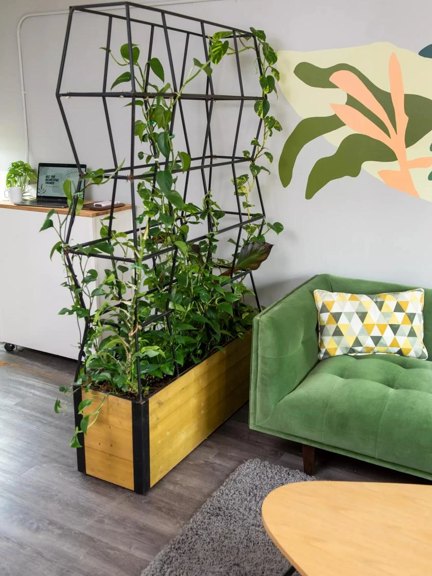 Self-Watering Partition Planter 6 Self-Watering Partition Planter - Image 4