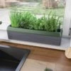 Provence Self-Watering Herb Planter -Garden Supply Store 8611965 01V tif