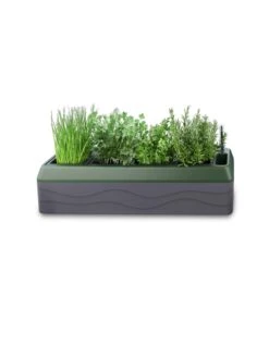 Provence Self-Watering Herb Planter 13 Provence Self-Watering Herb Planter -Garden Supply Store 8611965 03V tif