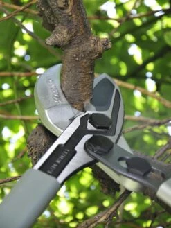 Castellari Long-Handled Anvil Lopper 8 Castellari Long-Handled Anvil Lopper -Garden Supply Store 8611970 01V tif