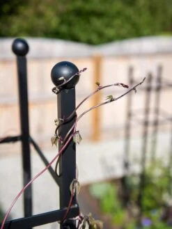 Essex Square Obelisk 12 Essex Square Obelisk -Garden Supply Store 8611984 278 tif