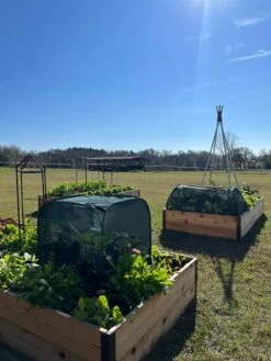 Pest Control Pop-Ups -Garden Supply Store 8611989 05 tif