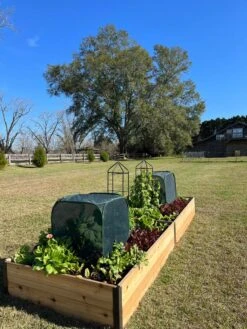 Pest Control Pop-Ups -Garden Supply Store 8611989 08 tif