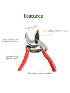 Castellari Mini Anvil Pruner -Garden Supply Store 8612199 5