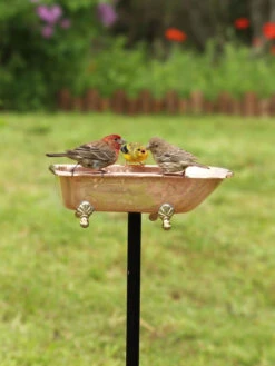 Copper Bathtub Birdbath -Garden Supply Store 8612202 01v copper bathtub birdbath