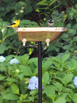Copper Bathtub Birdbath