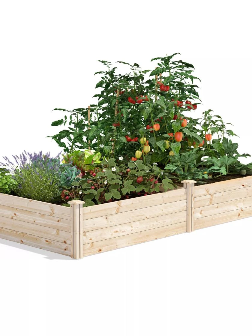 Pine Raised Garden Beds, 4'x8' 3 Pine Raised Garden Beds, 4'x8'