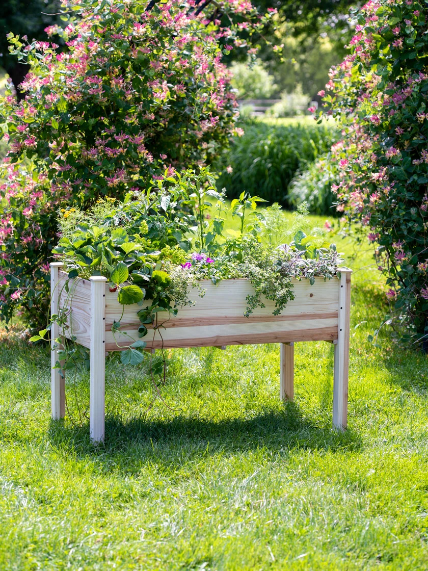 Standing Garden Bed 3 Standing Garden Bed