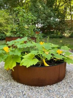 Birdies™ Corten Steel Round Raised Beds 11 Birdies™ Corten Steel Round Raised Beds -Garden Supply Store 8612422 0484 tif