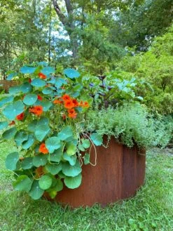 Birdies™ Corten Steel Round Raised Beds 10 Birdies™ Corten Steel Round Raised Beds -Garden Supply Store 8612423 0488 tif