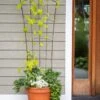 Flock Of Friends Pot Trellis 2 Flock Of Friends Pot Trellis -Garden Supply Store 8612635 0081 flock of friends pot trellis